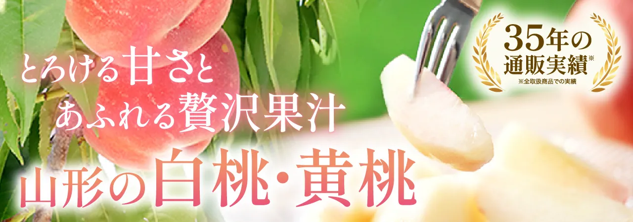山形の白桃 黄桃