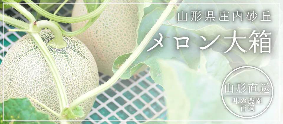 ご自宅用大箱メロン