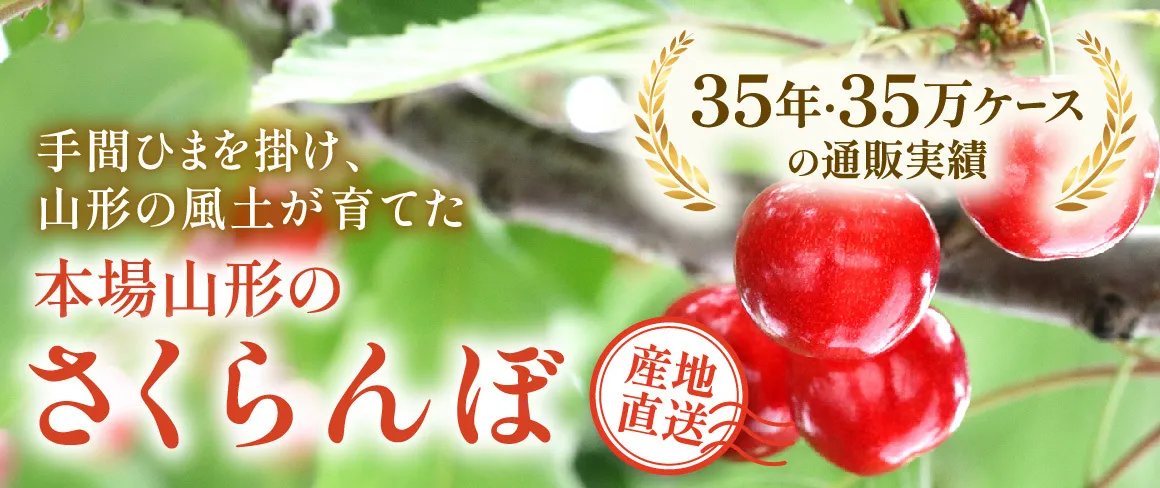 山形さくらんぼ