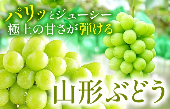 山形のぶどう