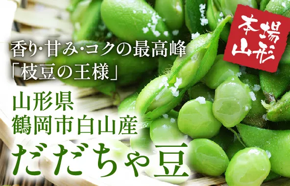 山形県鶴岡市白山産だだちゃ豆