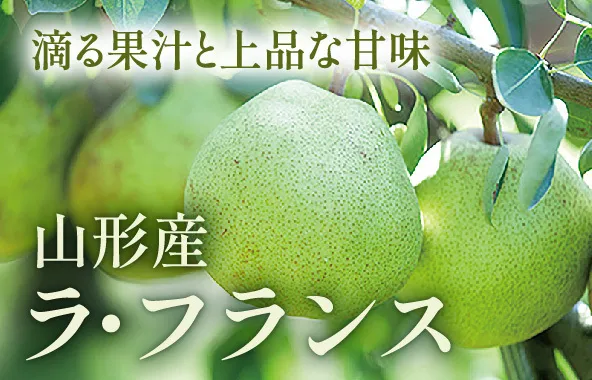 山形のラフランス