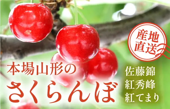 本場山形のさくらんぼ