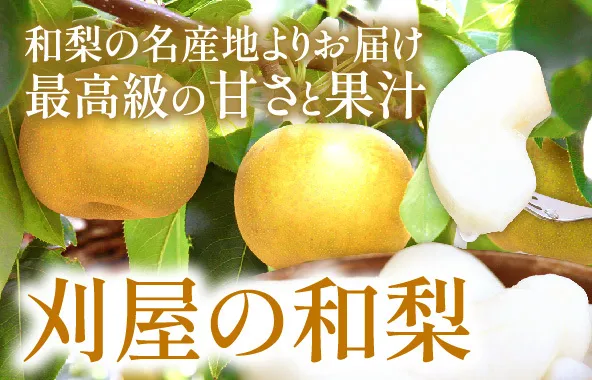 刈屋の和梨