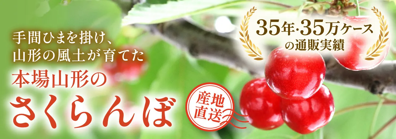 本場山形のさくらんぼ