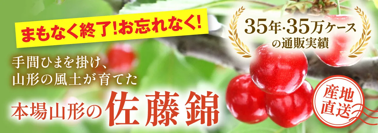 本場山形のさくらんぼ