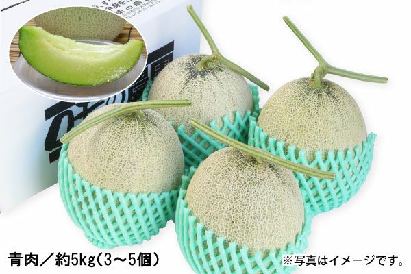 砂丘メロン大箱（青肉 約5kg／3～5個）（02-A）
