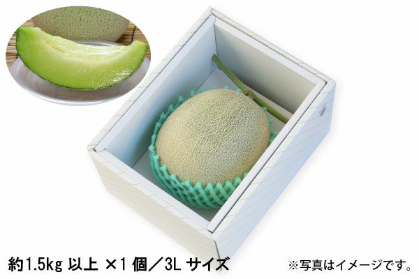 砂丘メロン（青肉）約1.5kg ×1個／3Lサイズ（02-K） | 味の農園
