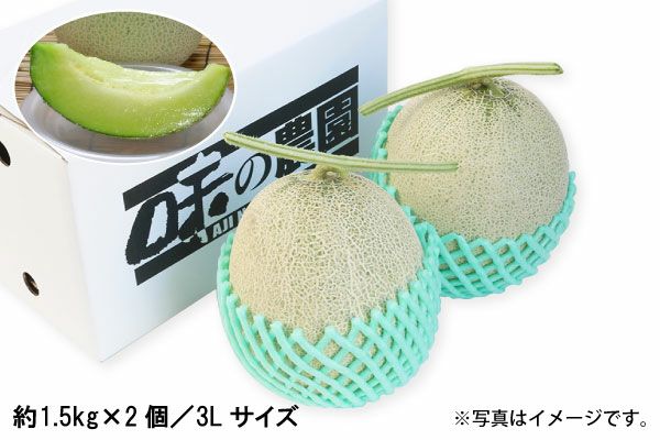 砂丘メロン（青肉）約1.5kg ×2個／3Lサイズ（02-Q）
