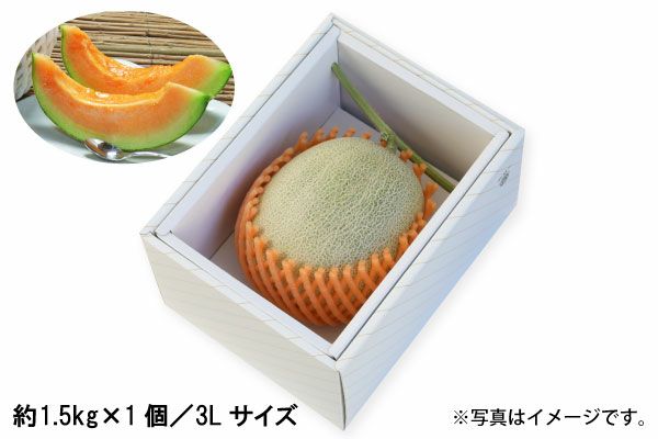 砂丘メロン（青肉）約1.5kg ×1個／3Lサイズ（02-K） | 味の農園