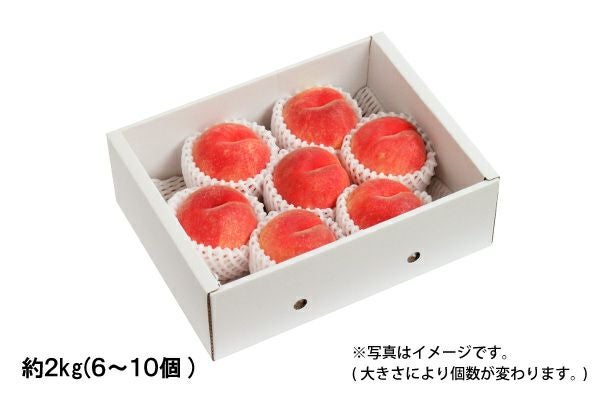 川中島白桃 約2.5kg／7～11個（51-Q） | 味の農園