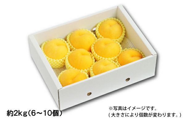 ご専用　つや姫 令和7年産】山形県産 つや姫 5kg（10-H） | 味の農園