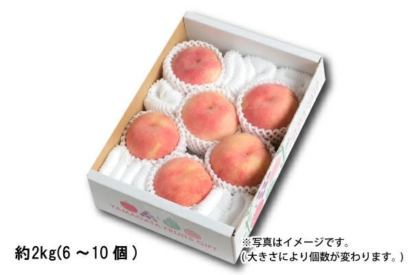 黄桃 ご自宅用【8月下旬以降お届け】 約2kg／6～10個（25-D） | 味の農園