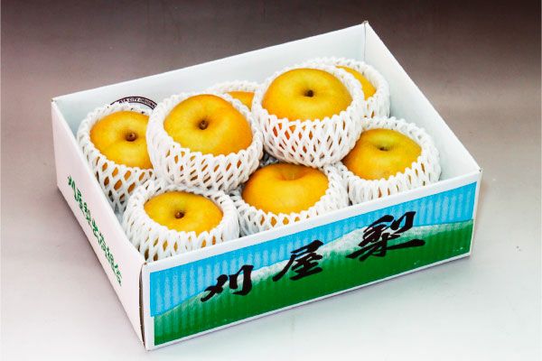 令和7年産】山形県産 北限のコシヒカリ 10kg（5kg×2）（10-O） | 味の農園