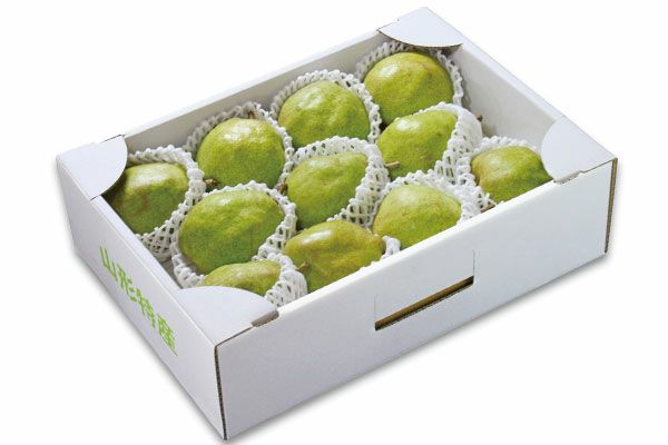 特大ラフランス 約5kg/4L～5L・11～14玉（49-O） | 味の農園
