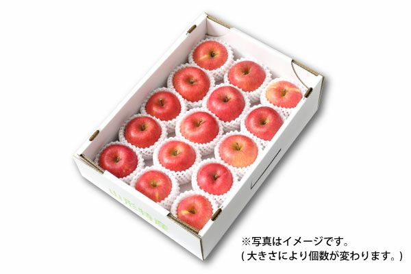 山形りんご 阿部さんの蜜入りこうとく 約3kg（09-J） | 味の農園