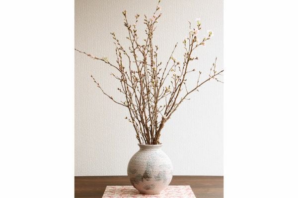 桜 | 味の農園