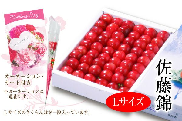 遅れてごめんね。母の日温室さくらんぼ佐藤錦 ダイヤパック 約100g×2_L