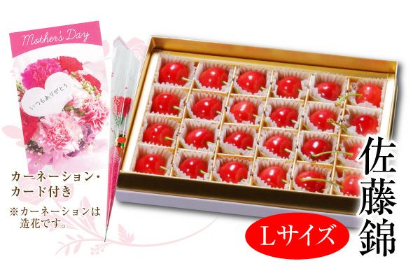 遅れてごめんね。母の日温室さくらんぼ佐藤錦 ダイヤパック 約100g×2_L