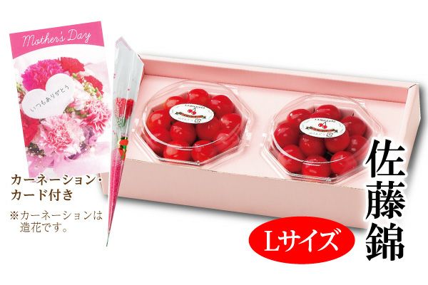 遅れてごめんね。母の日温室さくらんぼ佐藤錦 ダイヤパック 約100g×2_L