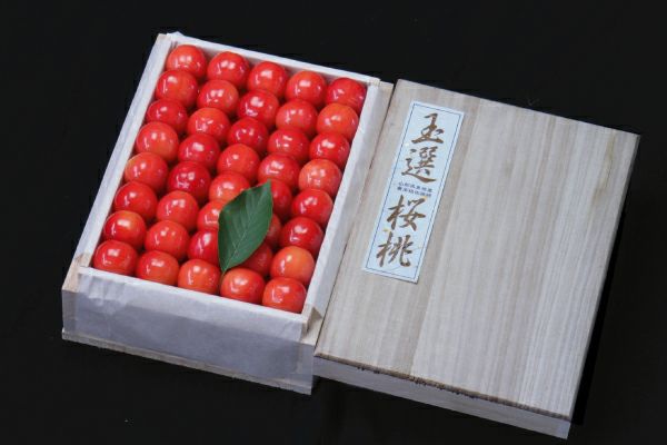 露地栽培 最盛期佐藤錦 桐箱鏡詰約500g 2Lサイズ以上（61-U） | 味の農園
