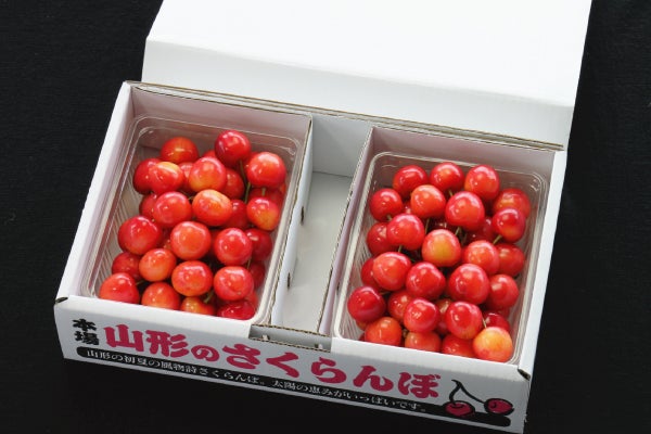 さくらんぼ 紅秀峰・紅てまり(6月中旬以降お届け) | 味の農園