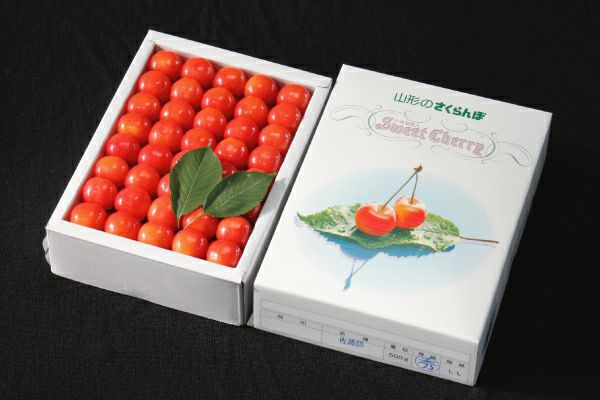 お中元さくらんぼ 露地栽培 最盛期佐藤錦 化粧箱鏡詰約500ｇ L～2Lサイズ(61-OO)