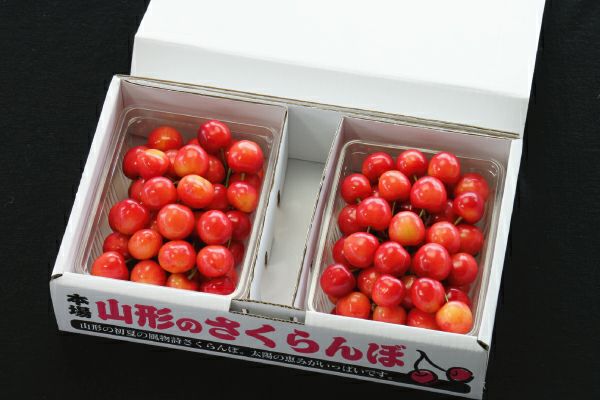 お中元さくらんぼ 紅てまり バラ詰約1kg 2Lサイズ以上(72-ZO)