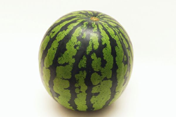 尾花沢スイカ 特大 約11kg以上／6Lサイズ（65-C） | 味の農園