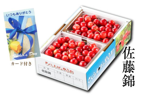 遅れてごめんね。母の日温室さくらんぼ佐藤錦 ダイヤパック 約100g×2_L