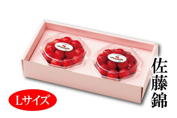 さくらんぼ 遅れてごめんね。母の日温室さくらんぼ佐藤錦 ダイヤパック 約100g×2_L