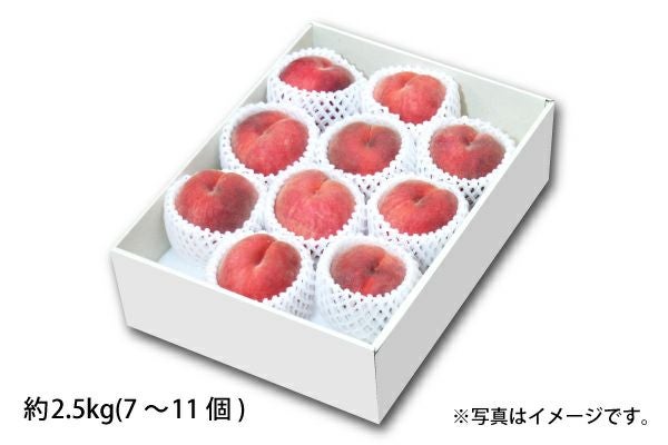 令和7年産】山形県産 つや姫 5kg（10-H） | 味の農園