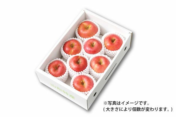 山形りんご 阿部さんの蜜入り大玉こうとく 約2kg（51-A） | 味の農園