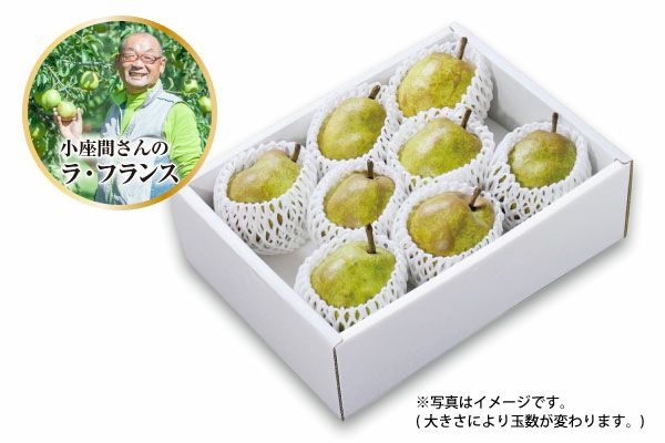 小座間さんのラフランス 約３kg
