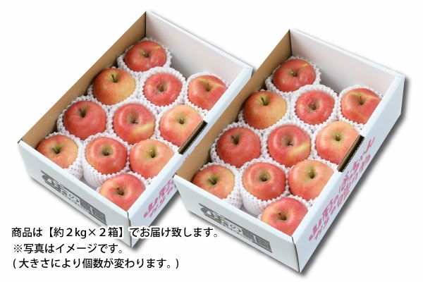 山形りんご　ご自宅用こうとく約2kg×2箱