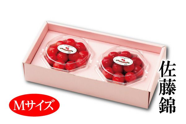 遅れてごめんね。母の日温室さくらんぼ佐藤錦 ダイヤパック 約100g×2_L