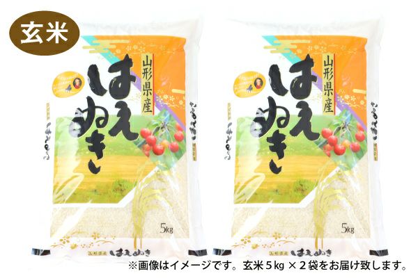 令和7年産】山形県産 はえぬき 10kg（5kg×2）（10-L） | 味の農園